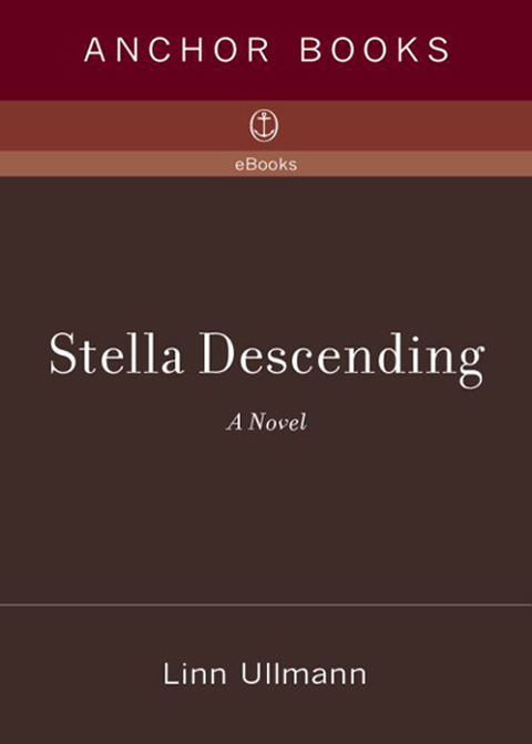 Cover image for book Stella Descending