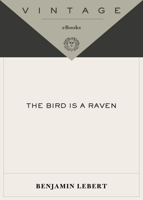 Cover image for book The Bird Is a Raven