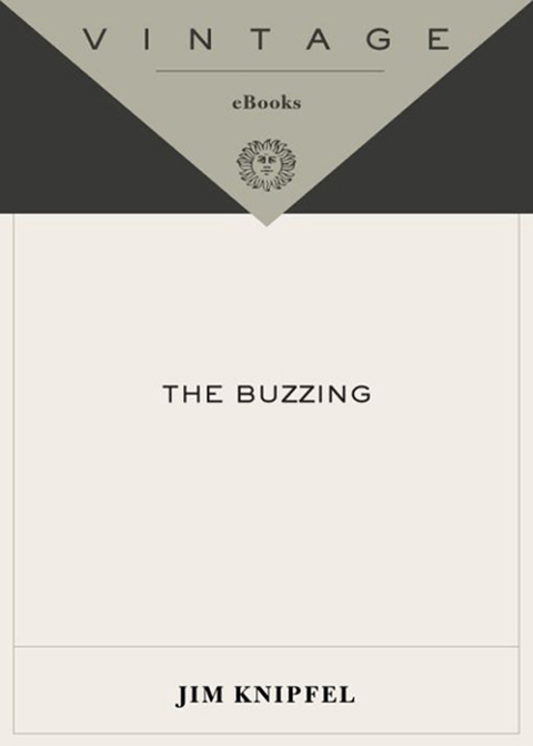 Cover image for book The Buzzing
