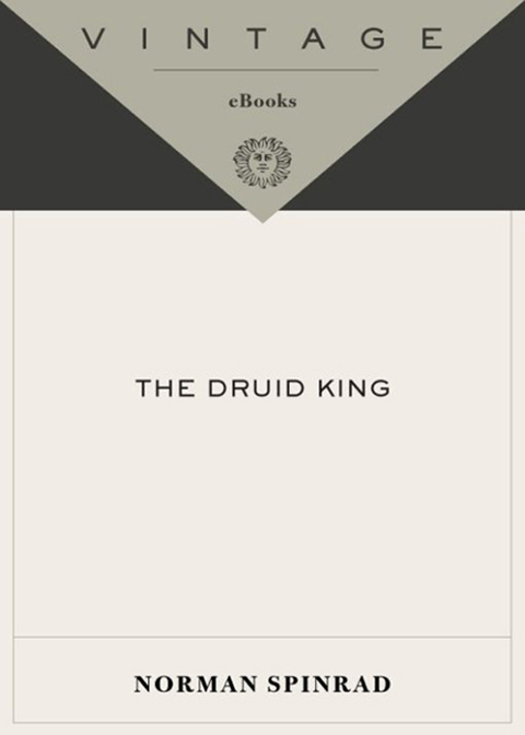 Cover image for book The Druid King
