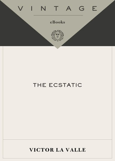 Cover image for book The Ecstatic