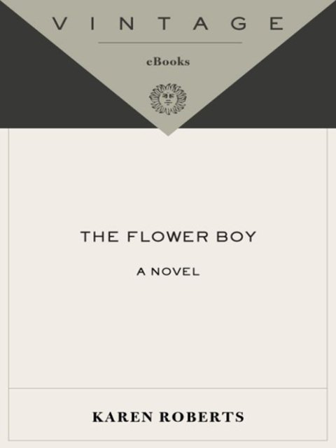 Cover image for book The Flower Boy