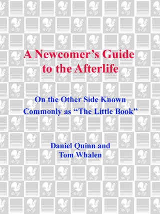 A Newcomer's Guide to the Afterlife