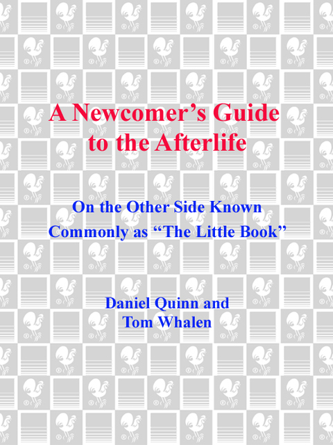 Cover image for book A Newcomer's Guide to the Afterlife