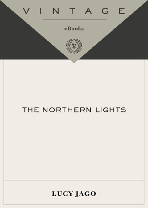 Cover image for book The Northern Lights