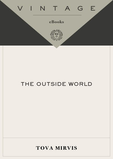 Cover image for book The Outside World