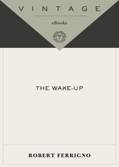 Cover image for book The Wake-Up