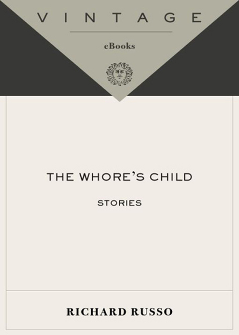 Cover image for book The Whore's Child