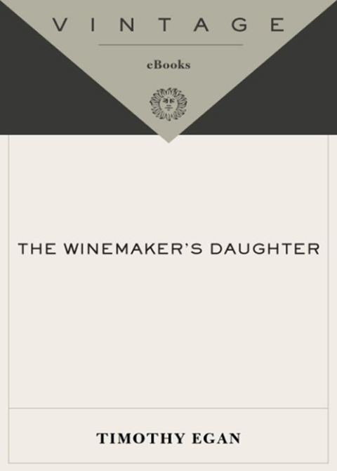 Cover image for book The Winemaker's Daughter