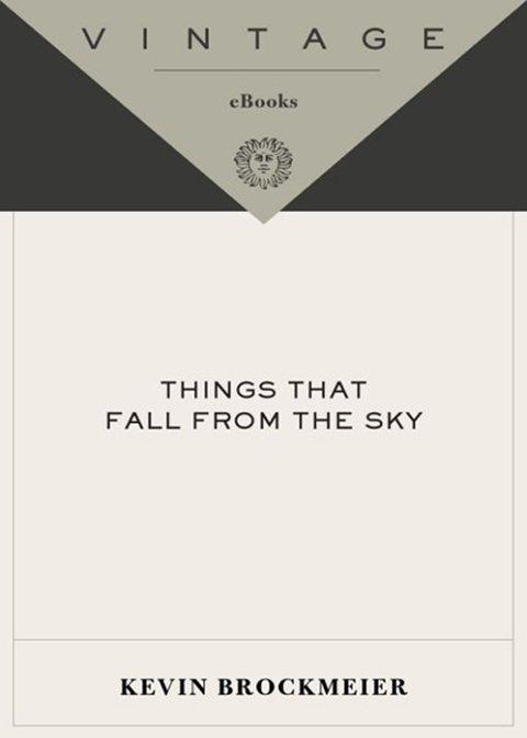 Cover image for book Things that Fall from the Sky