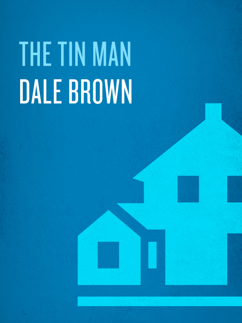 Cover image for book The Tin Man