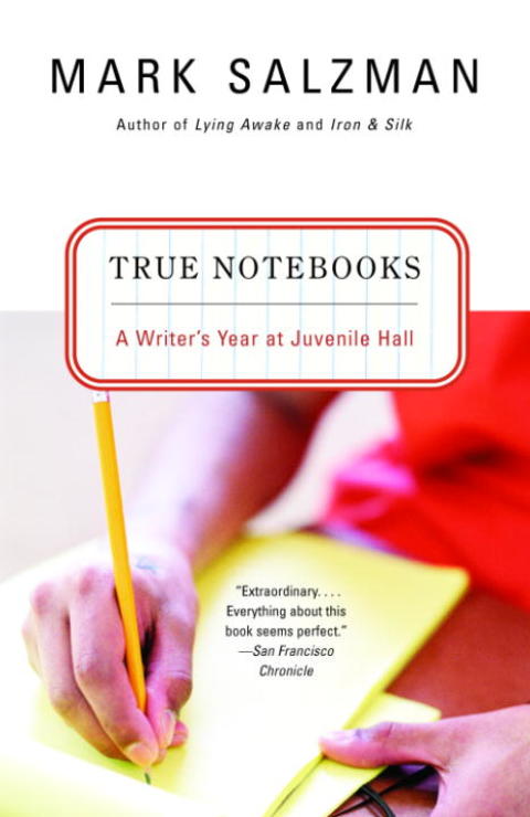 Cover image for book True Notebooks