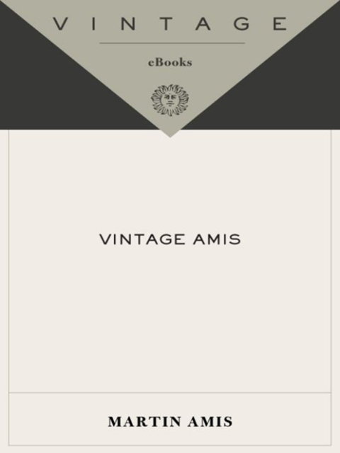 Cover image for book Vintage Amis