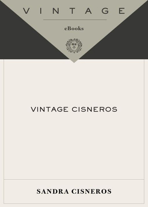 Cover image for book Vintage Cisneros