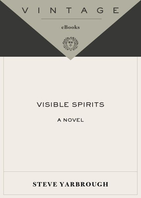 Cover image for book Visible Spirits