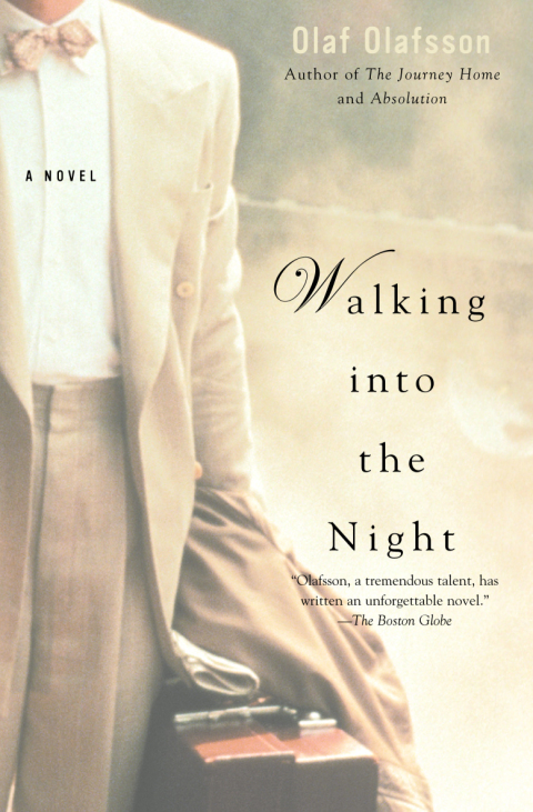Cover image for book Walking Into the Night
