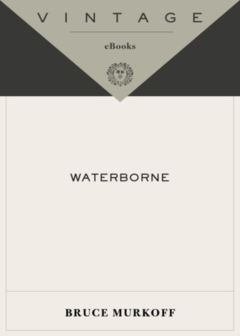 Cover image for book Waterborne