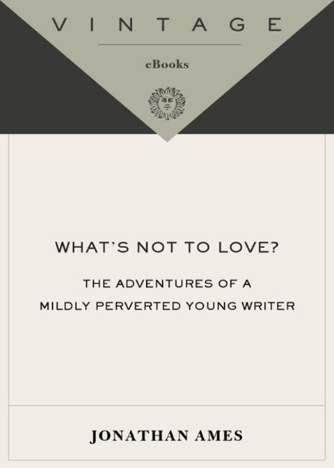 Cover image for book What's Not to Love?