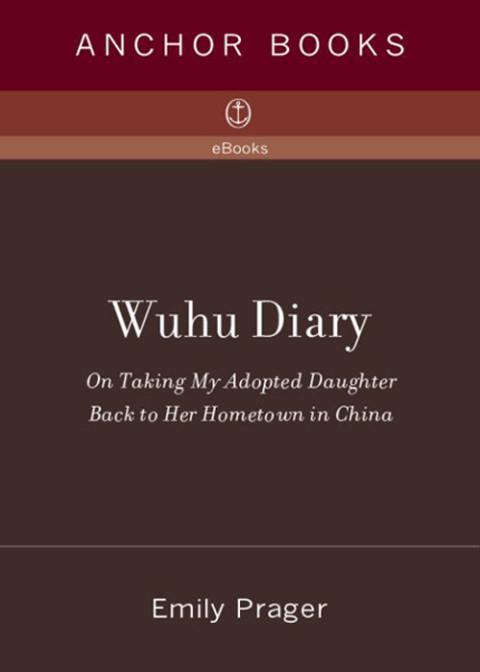 Cover image for book Wuhu Diary