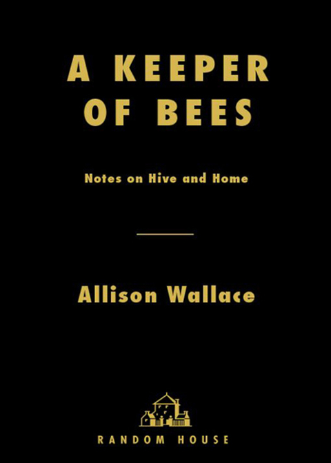 Cover image for book A Keeper of Bees