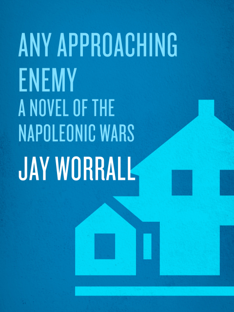 Cover image for book Any Approaching Enemy