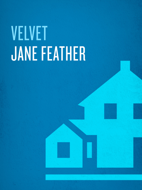 Cover image for book Velvet