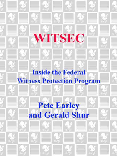 Cover image for book Witsec