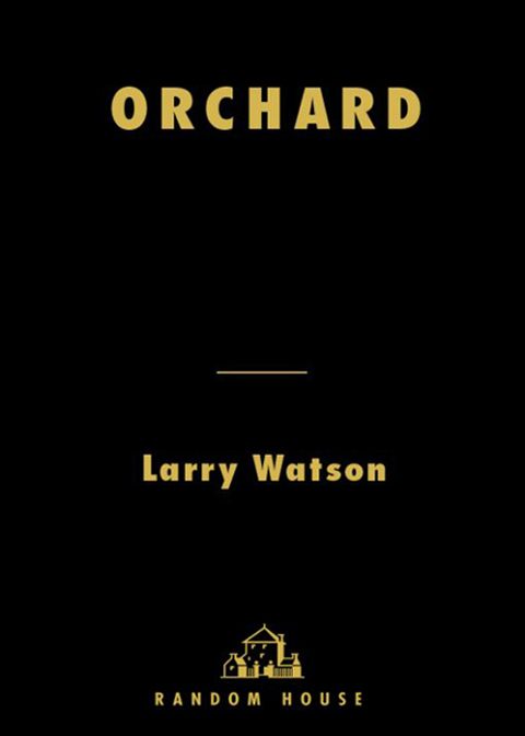 Cover image for book Orchard