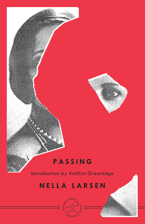 Cover image for book Passing