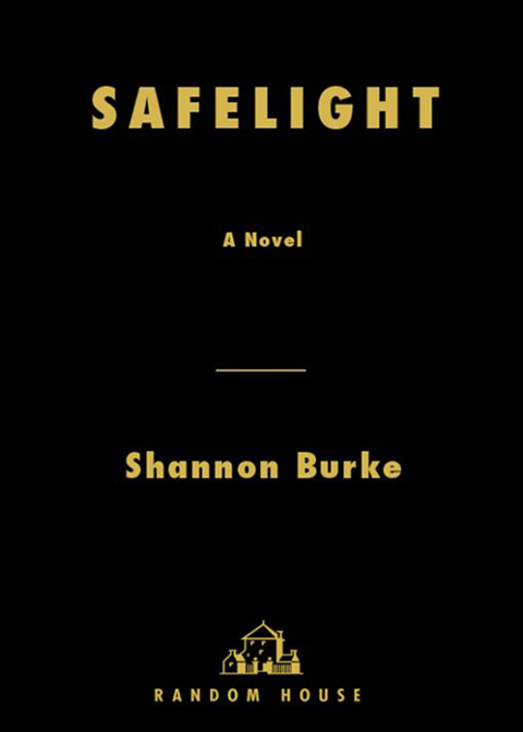 Cover image for book Safelight