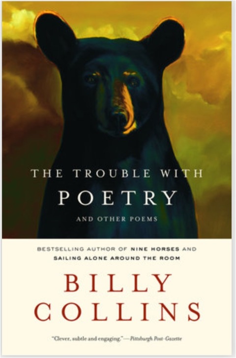 Cover image for book The Trouble with Poetry