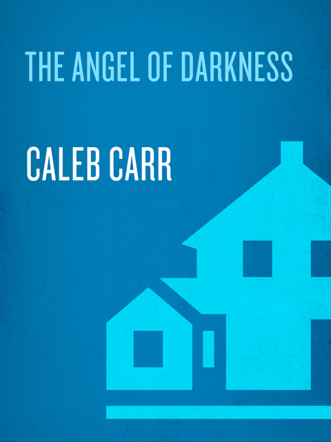 Cover image for book The Angel of Darkness: Book 2 of the Alienist