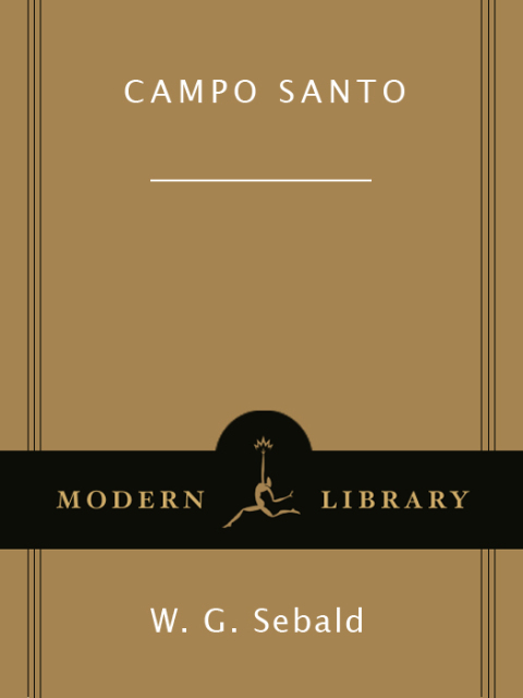 Cover image for book Campo Santo