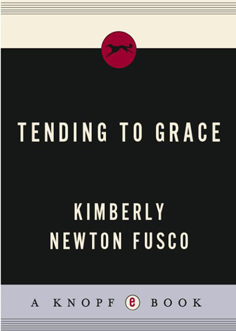 Cover image for book Tending to Grace