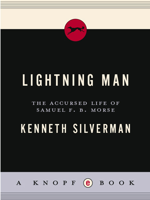 Cover image for book Lightning Man