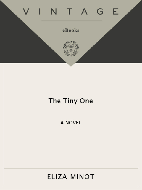 Cover image for book The Tiny One