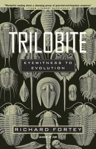 Trilobite