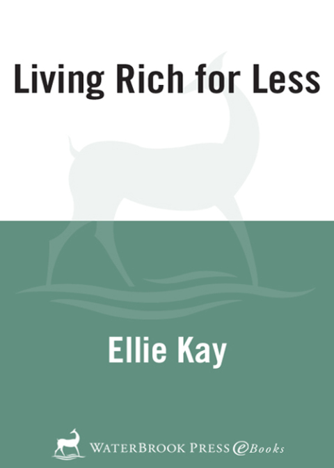 Cover image for book Living Rich for Less