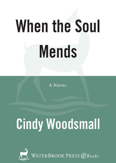 Cover image for book When the Soul Mends