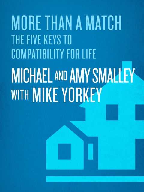 Cover image for book More Than a Match