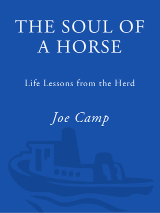 The Soul of a Horse