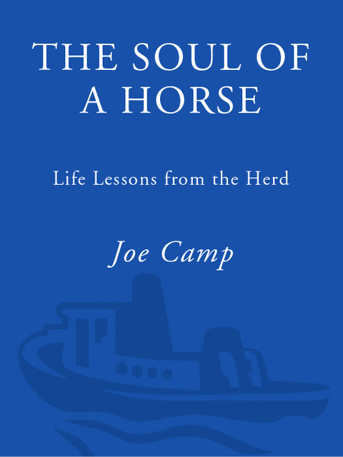 Cover image for book The Soul of a Horse