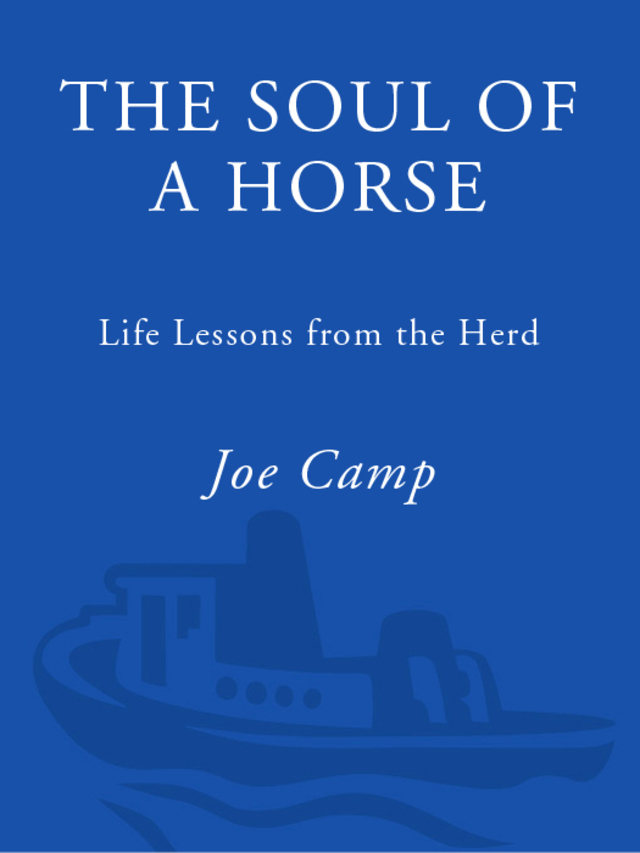The Soul of a Horse