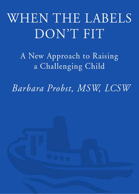 Cover image for book When the Labels Don't Fit