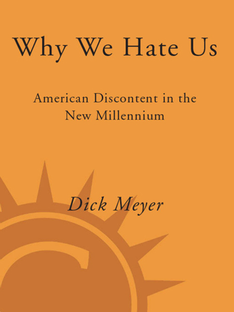 Cover image for book Why We Hate Us