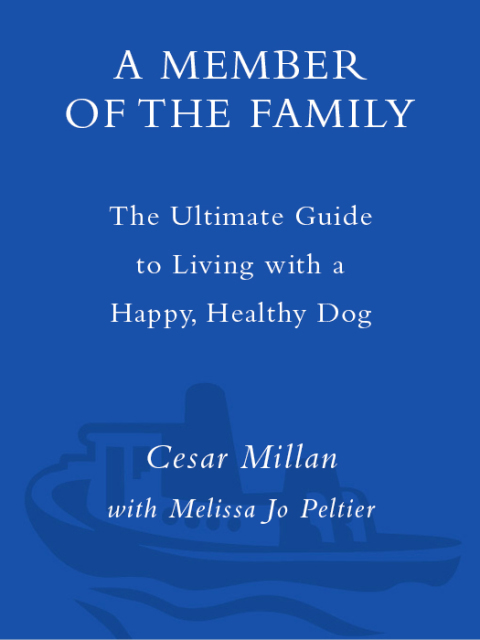 Cover image for book A Member of the Family