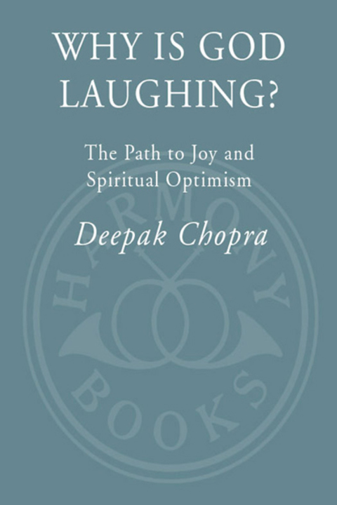 Cover image for book Why Is God Laughing?
