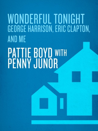 Wonderful Tonight