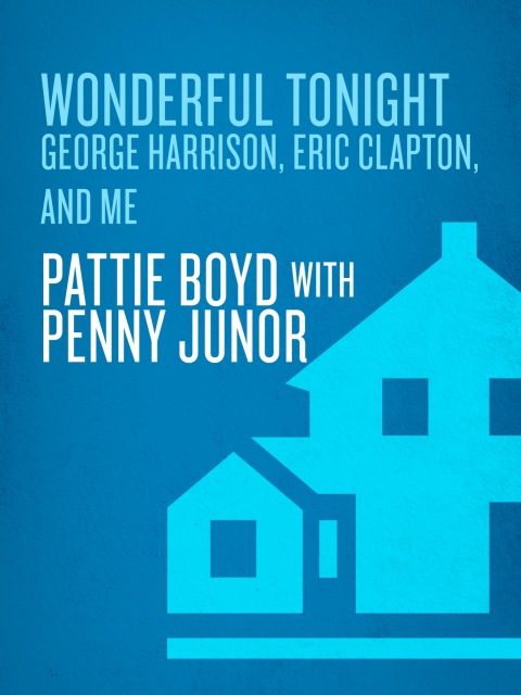 Cover image for book Wonderful Tonight