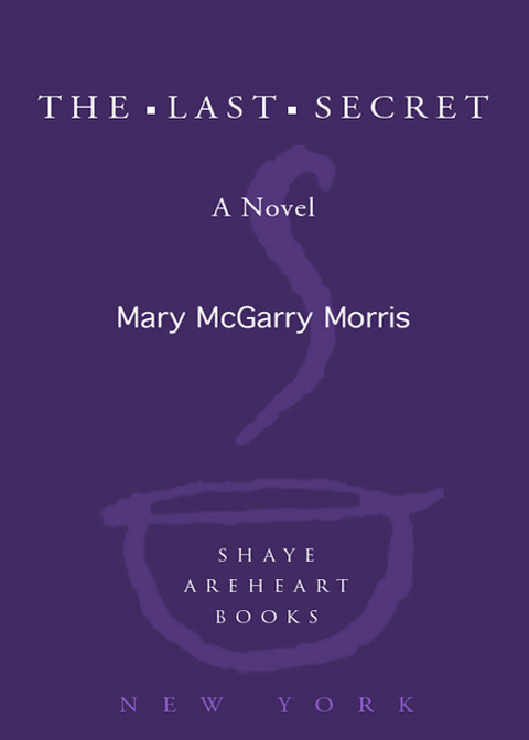 Cover image for book The Last Secret
